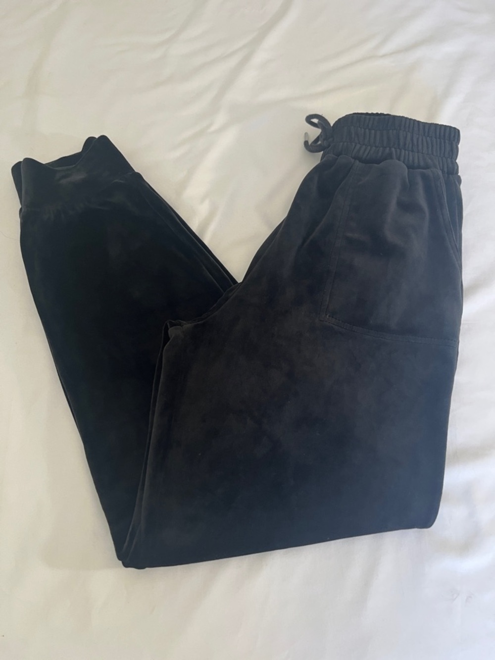 Copper Key Velvet Jogger Pants in Black